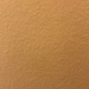 Meet your Posher, Allen